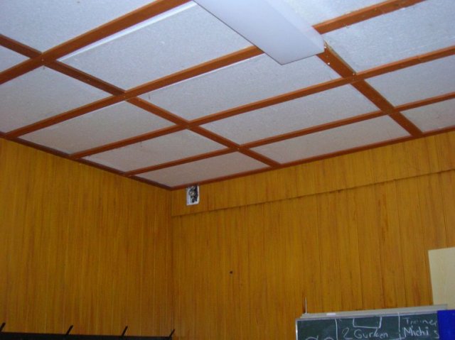 sturmschaeden 18012007 014